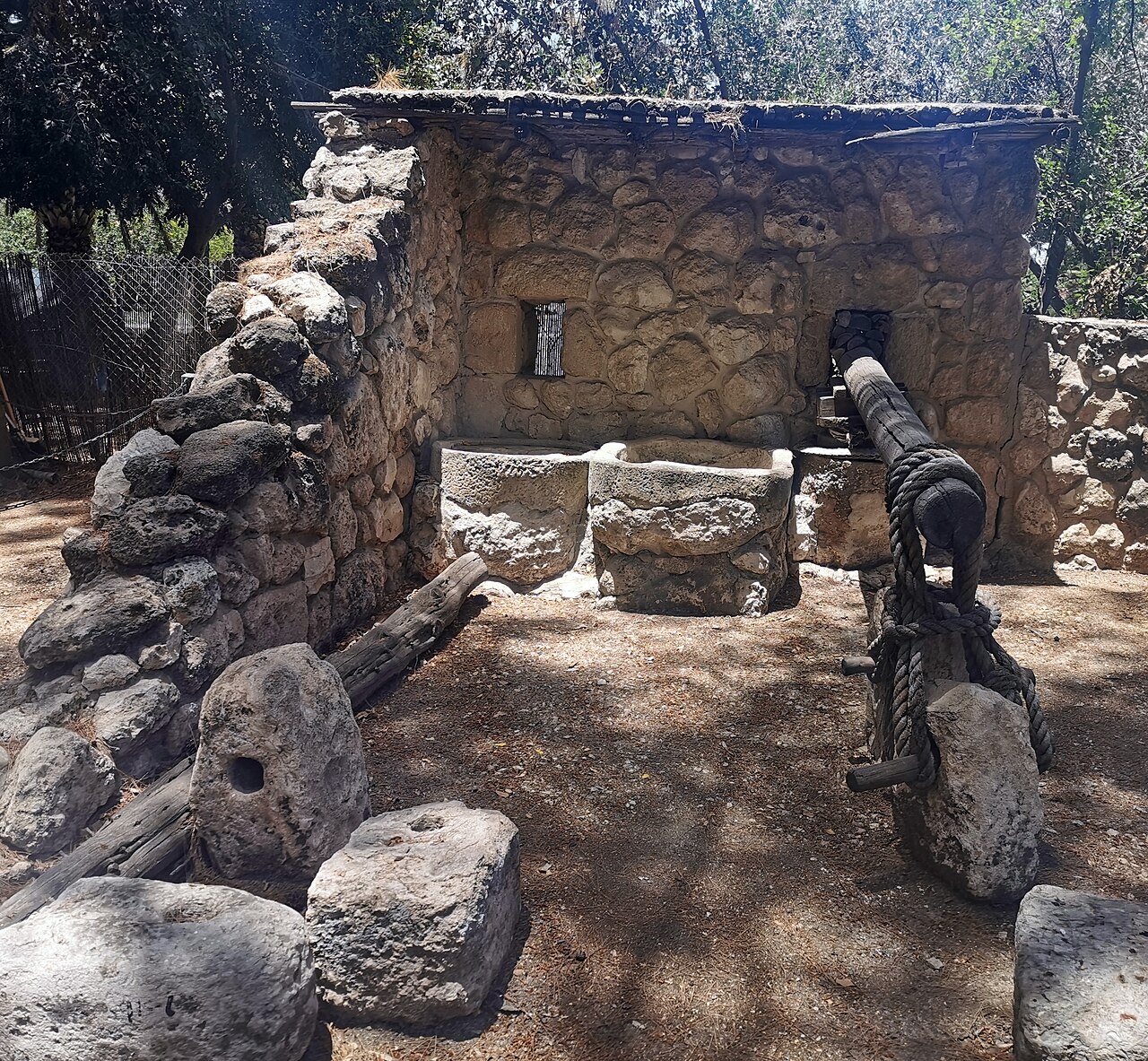 Reconstructed Iron Age beam olive press from Ekron, with stone vats and pierced stone weights