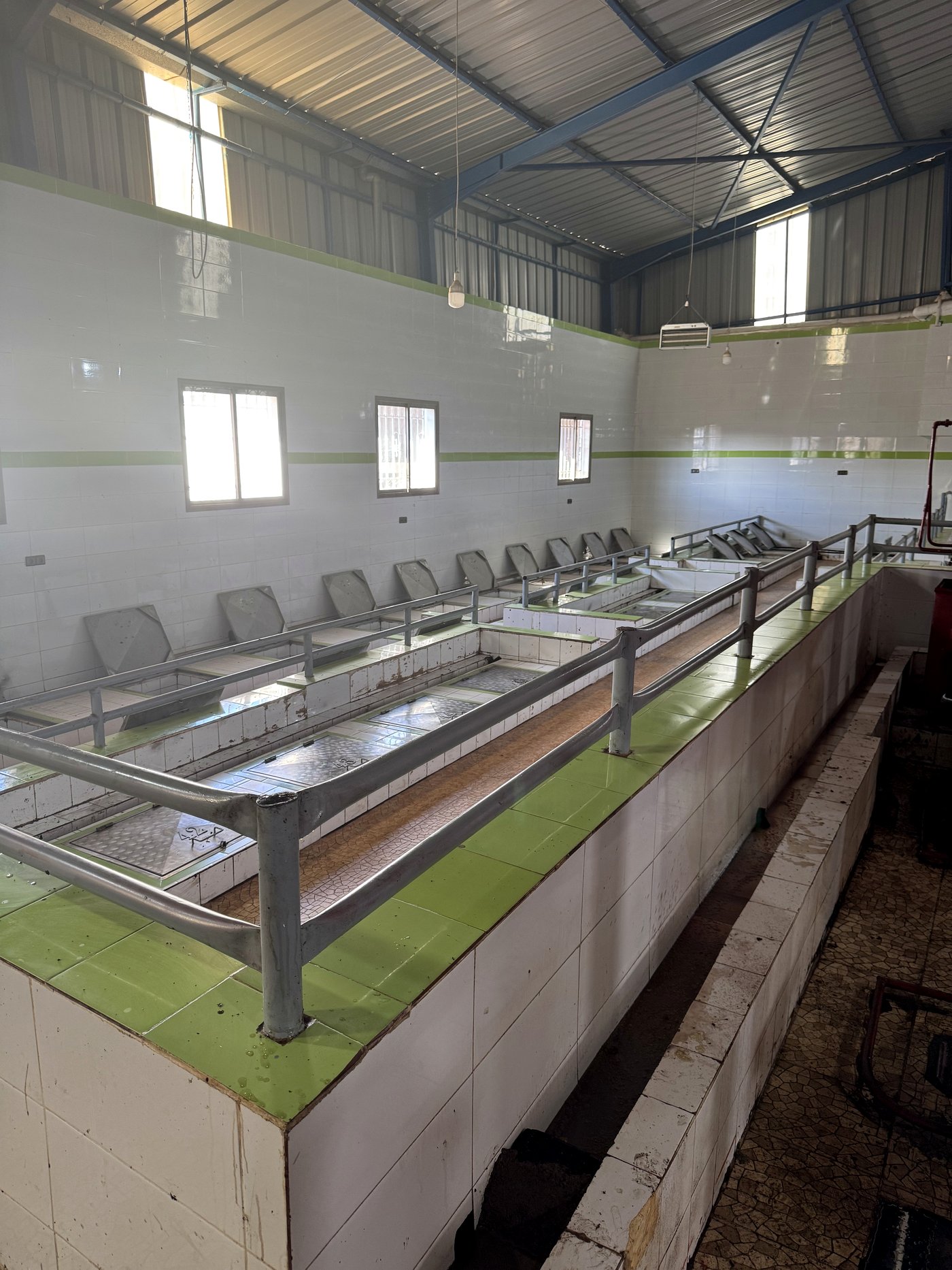 Inside a community olive press in Morocco: a long row of metal collection stations along a green-striped tile wall