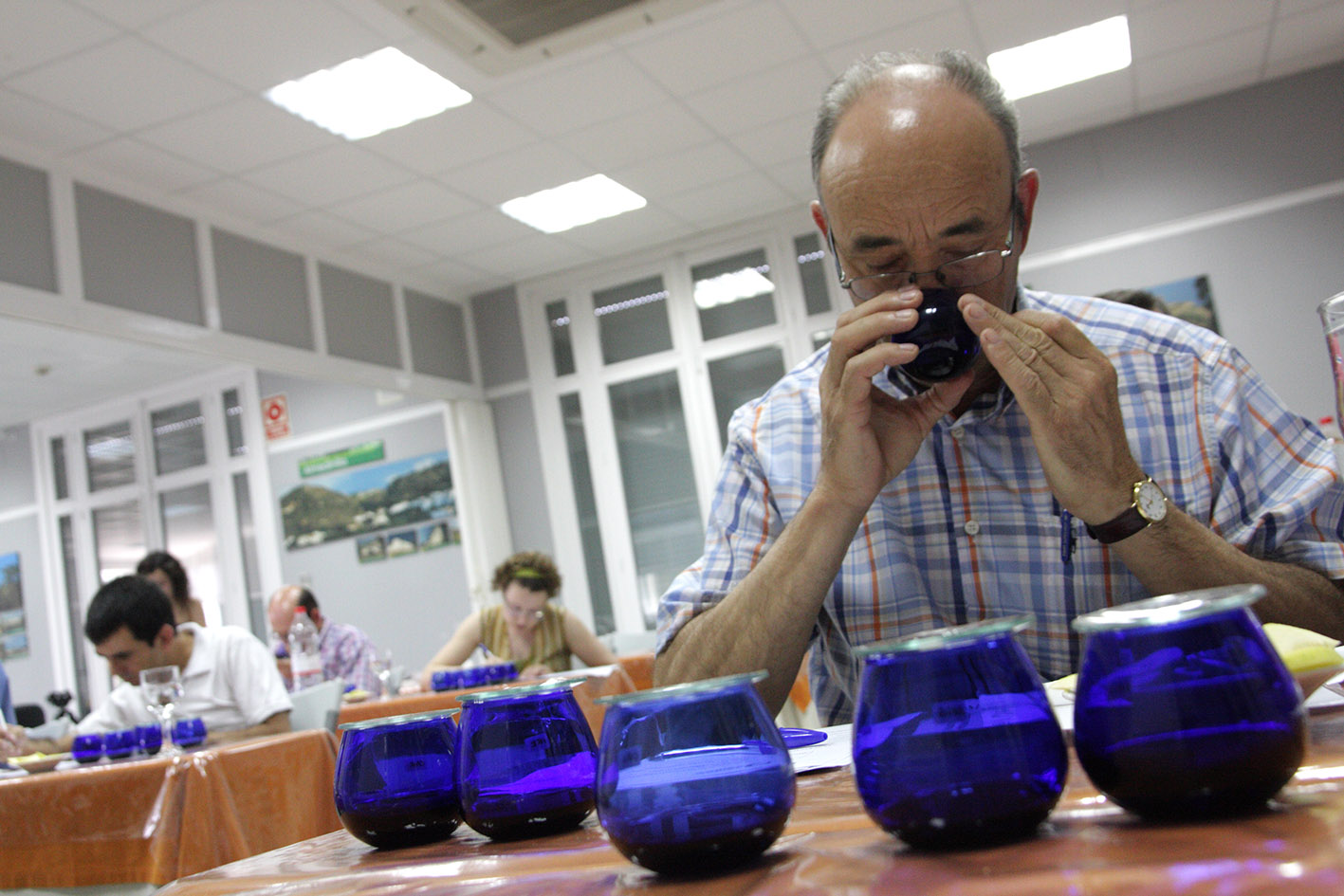 A taster on an official olive oil tasting panel smells oil from a cobalt-blue tasting glass