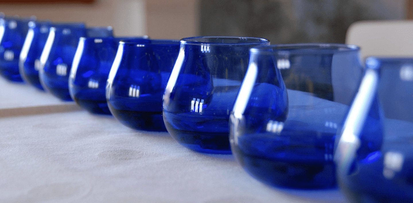A row of cobalt blue olive oil tasting cups on a white tablecloth